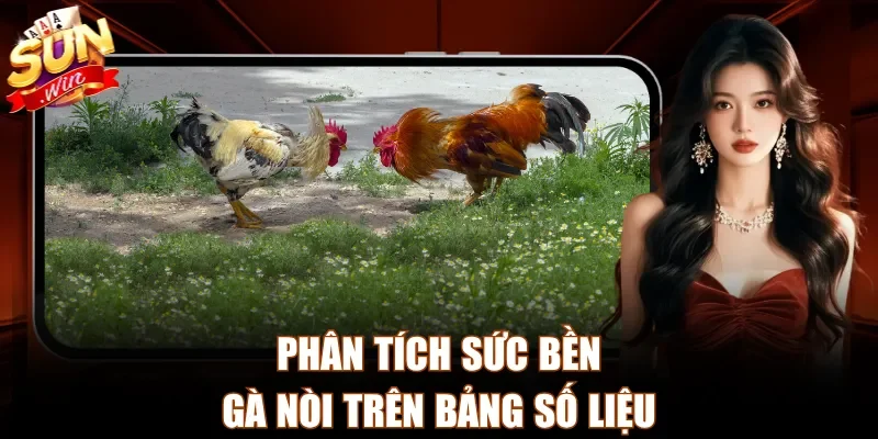Phân tích sức bền gà nòi trên bảng số liệu